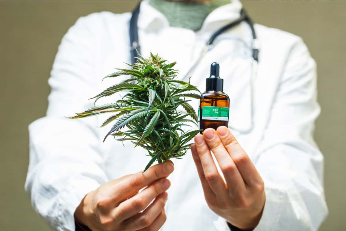 cannabis terapeutica cosa cura