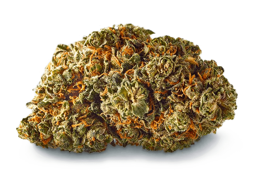 thetraditionalcbd-cannabis-legale-canapa-legale-CBD